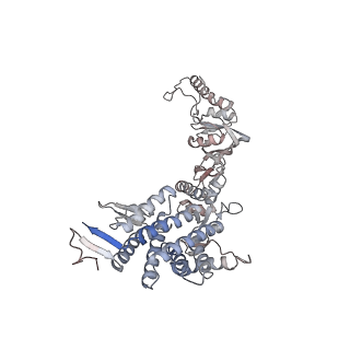 33918_7ylv_A_v1-0
yeast TRiC-plp2-substrate complex at S2 ATP binding state