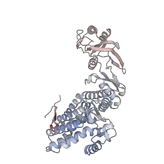 33918_7ylv_B_v1-0
yeast TRiC-plp2-substrate complex at S2 ATP binding state