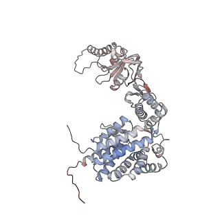 33918_7ylv_D_v1-0
yeast TRiC-plp2-substrate complex at S2 ATP binding state