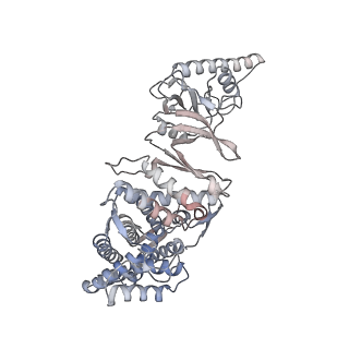 33918_7ylv_E_v1-0
yeast TRiC-plp2-substrate complex at S2 ATP binding state