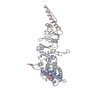33918_7ylv_G_v1-0
yeast TRiC-plp2-substrate complex at S2 ATP binding state