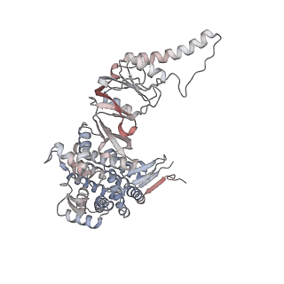 33918_7ylv_H_v1-0
yeast TRiC-plp2-substrate complex at S2 ATP binding state
