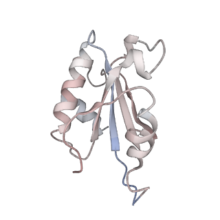 33918_7ylv_P_v1-0
yeast TRiC-plp2-substrate complex at S2 ATP binding state