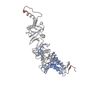 33918_7ylv_Z_v1-0
yeast TRiC-plp2-substrate complex at S2 ATP binding state