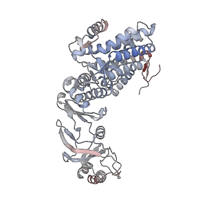 33918_7ylv_b_v1-0
yeast TRiC-plp2-substrate complex at S2 ATP binding state
