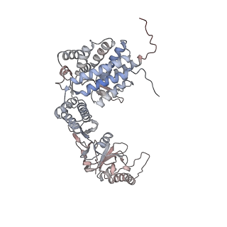 33918_7ylv_d_v1-0
yeast TRiC-plp2-substrate complex at S2 ATP binding state