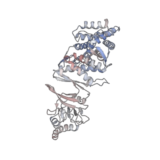33918_7ylv_e_v1-0
yeast TRiC-plp2-substrate complex at S2 ATP binding state