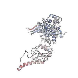 33918_7ylv_h_v1-0
yeast TRiC-plp2-substrate complex at S2 ATP binding state