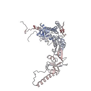 33918_7ylv_q_v1-0
yeast TRiC-plp2-substrate complex at S2 ATP binding state