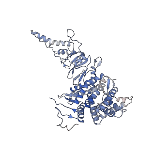 33919_7ylw_A_v1-0
yeast TRiC-plp2-tubulin complex at S3 closed TRiC state