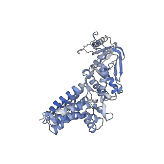 33919_7ylw_B_v1-0
yeast TRiC-plp2-tubulin complex at S3 closed TRiC state