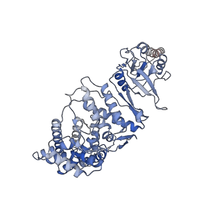 33919_7ylw_E_v1-0
yeast TRiC-plp2-tubulin complex at S3 closed TRiC state