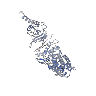 33919_7ylw_G_v1-0
yeast TRiC-plp2-tubulin complex at S3 closed TRiC state