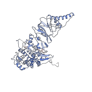33919_7ylw_H_v1-0
yeast TRiC-plp2-tubulin complex at S3 closed TRiC state