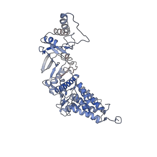 33919_7ylw_Z_v1-0
yeast TRiC-plp2-tubulin complex at S3 closed TRiC state