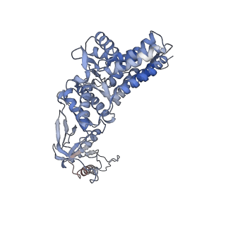 33919_7ylw_b_v1-0
yeast TRiC-plp2-tubulin complex at S3 closed TRiC state