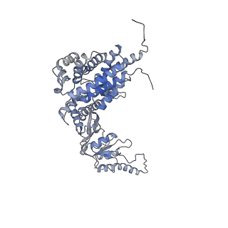 33919_7ylw_d_v1-0
yeast TRiC-plp2-tubulin complex at S3 closed TRiC state