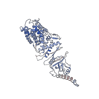 33919_7ylw_g_v1-0
yeast TRiC-plp2-tubulin complex at S3 closed TRiC state