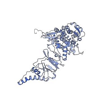33919_7ylw_h_v1-0
yeast TRiC-plp2-tubulin complex at S3 closed TRiC state