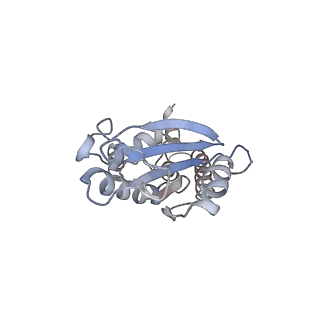 33919_7ylw_p_v1-0
yeast TRiC-plp2-tubulin complex at S3 closed TRiC state