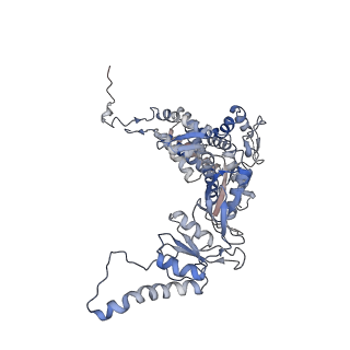 33919_7ylw_q_v1-0
yeast TRiC-plp2-tubulin complex at S3 closed TRiC state