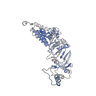 33919_7ylw_z_v1-0
yeast TRiC-plp2-tubulin complex at S3 closed TRiC state