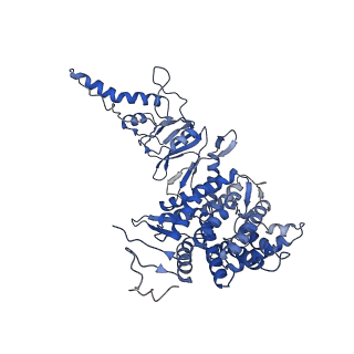 33920_7ylx_A_v1-0
yeast TRiC-plp2-actin complex at S4 closed TRiC state