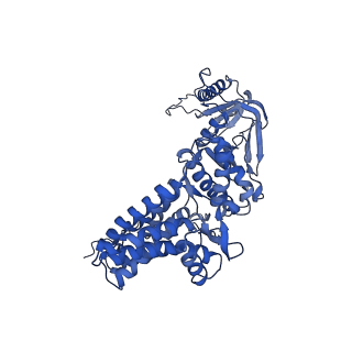 33920_7ylx_B_v1-0
yeast TRiC-plp2-actin complex at S4 closed TRiC state