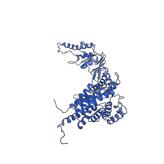33920_7ylx_D_v1-0
yeast TRiC-plp2-actin complex at S4 closed TRiC state