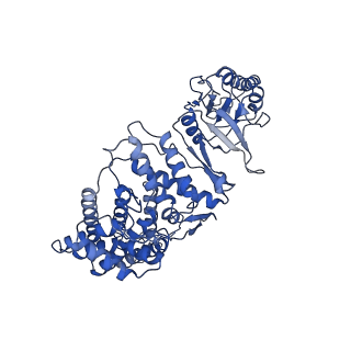 33920_7ylx_E_v1-0
yeast TRiC-plp2-actin complex at S4 closed TRiC state