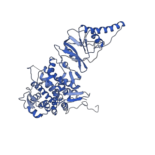 33920_7ylx_H_v1-0
yeast TRiC-plp2-actin complex at S4 closed TRiC state
