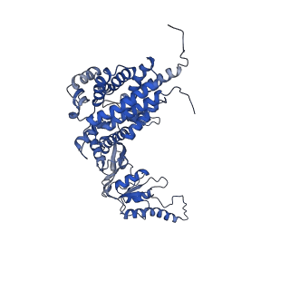 33920_7ylx_d_v1-0
yeast TRiC-plp2-actin complex at S4 closed TRiC state