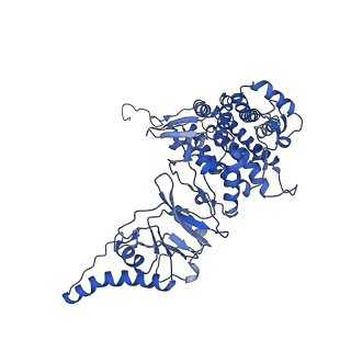 33920_7ylx_h_v1-0
yeast TRiC-plp2-actin complex at S4 closed TRiC state