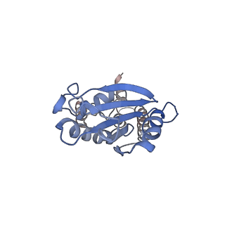 33920_7ylx_p_v1-0
yeast TRiC-plp2-actin complex at S4 closed TRiC state