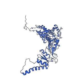 33920_7ylx_q_v1-0
yeast TRiC-plp2-actin complex at S4 closed TRiC state