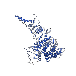 33921_7yly_A_v1-0
yeast TRiC-plp2 complex at S5 closed TRiC state