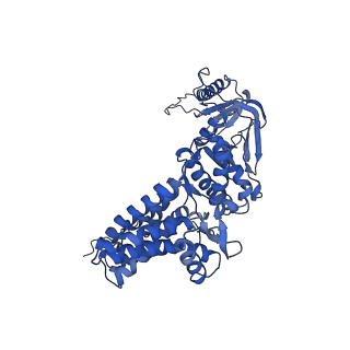 33921_7yly_B_v1-0
yeast TRiC-plp2 complex at S5 closed TRiC state