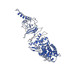 33921_7yly_G_v1-0
yeast TRiC-plp2 complex at S5 closed TRiC state