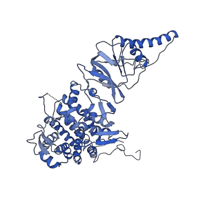 33921_7yly_H_v1-0
yeast TRiC-plp2 complex at S5 closed TRiC state