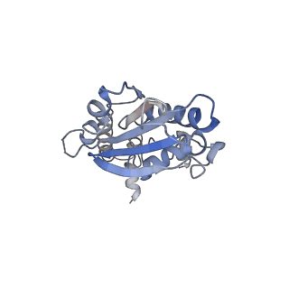 33921_7yly_P_v1-0
yeast TRiC-plp2 complex at S5 closed TRiC state