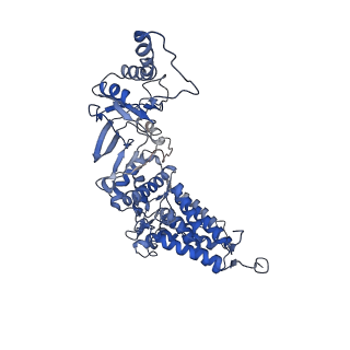 33921_7yly_Z_v1-0
yeast TRiC-plp2 complex at S5 closed TRiC state