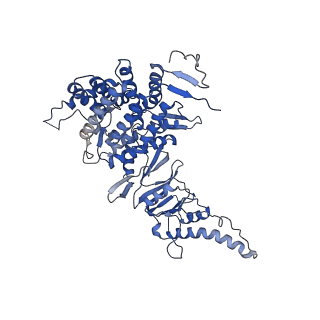 33921_7yly_a_v1-0
yeast TRiC-plp2 complex at S5 closed TRiC state