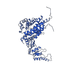 33921_7yly_d_v1-0
yeast TRiC-plp2 complex at S5 closed TRiC state