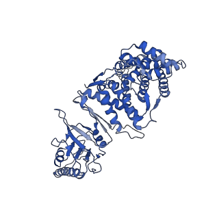 33921_7yly_e_v1-0
yeast TRiC-plp2 complex at S5 closed TRiC state