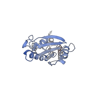 33921_7yly_p_v1-0
yeast TRiC-plp2 complex at S5 closed TRiC state