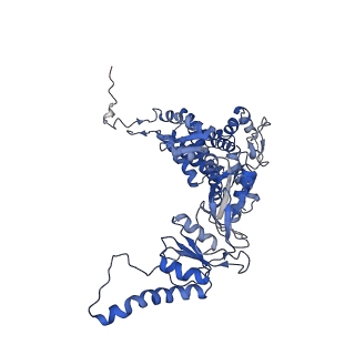 33921_7yly_q_v1-0
yeast TRiC-plp2 complex at S5 closed TRiC state