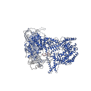 6839_5ylz_A_v1-1
Cryo-EM Structure of the Post-catalytic Spliceosome from Saccharomyces cerevisiae at 3.6 angstrom