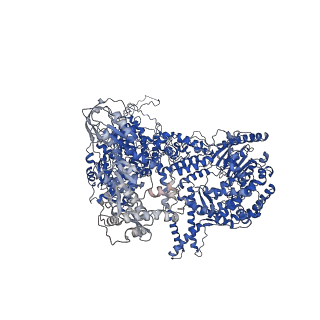 6839_5ylz_A_v2-0
Cryo-EM Structure of the Post-catalytic Spliceosome from Saccharomyces cerevisiae at 3.6 angstrom