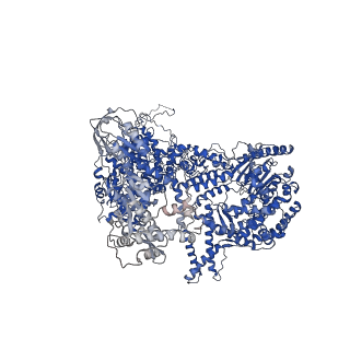 6839_5ylz_A_v2-1
Cryo-EM Structure of the Post-catalytic Spliceosome from Saccharomyces cerevisiae at 3.6 angstrom