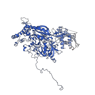 6839_5ylz_C_v1-1
Cryo-EM Structure of the Post-catalytic Spliceosome from Saccharomyces cerevisiae at 3.6 angstrom